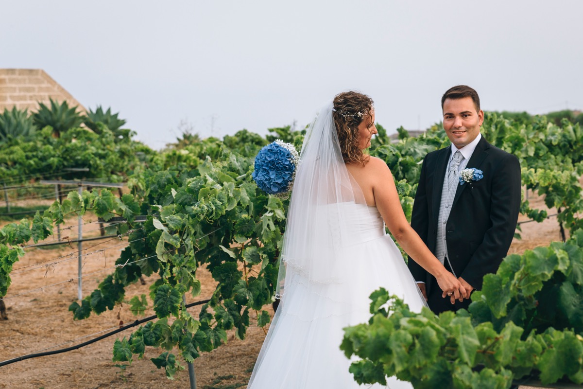 Novios entre viñedos